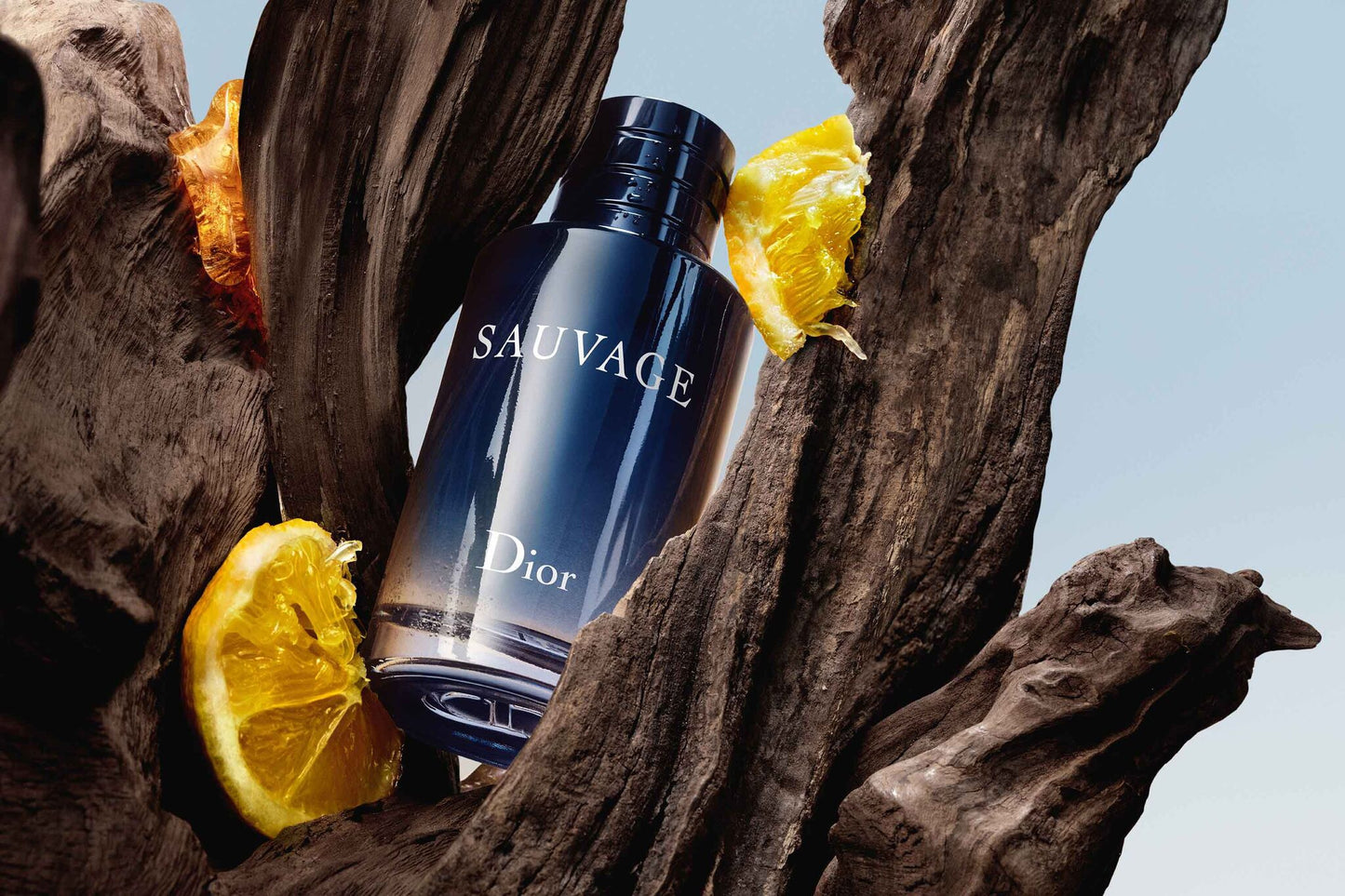 Sauvage Eau de Parfum